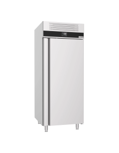 Armoire congélateur à glace porte pleine Série Premium - 700 L